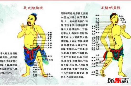 古代人体经络之谜,经脉维系着生命活力/决断人的生死
